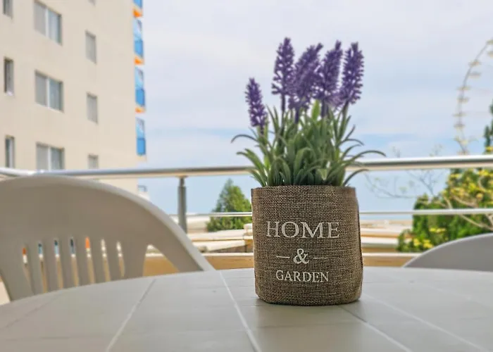 Lejlighed Excelsior Sunny Sunny Beach